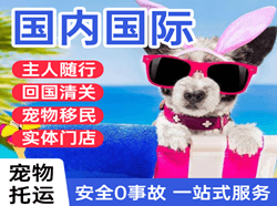 莎车叶尔羌空运地址国际宠物托运 【国